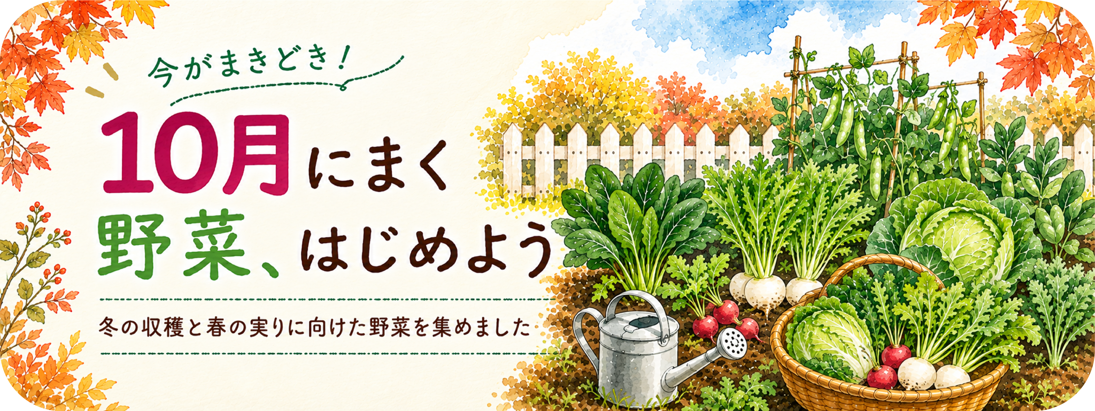 10月に蒔ける野菜の種