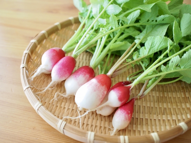 ラディッシュ