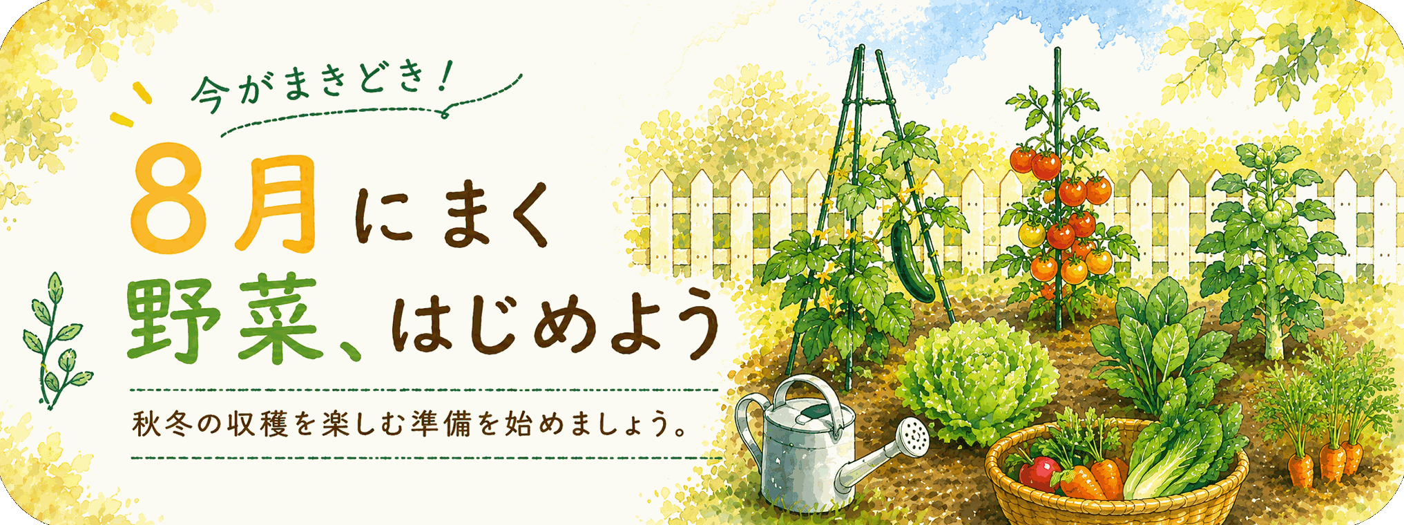 7月に蒔ける野菜の種