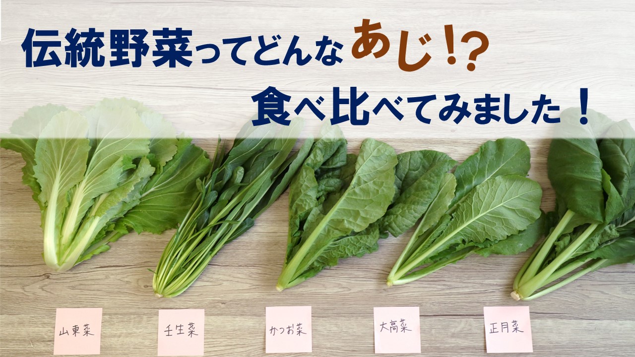 伝統野菜を食べ比べしてみました！！～葉もの野菜編～ 野菜の種専門通販 アサヒのぐるタネ