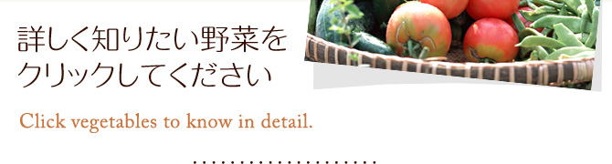 詳しく知りたい野菜をクリックしてください