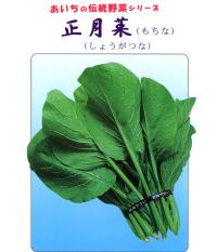 愛知の伝統野菜⑤もち菜（正月菜）とはの写真