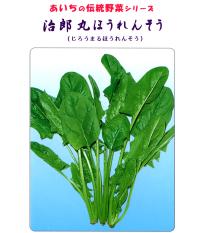 愛知の伝統野菜⑥治郎丸法蓮草とはの写真