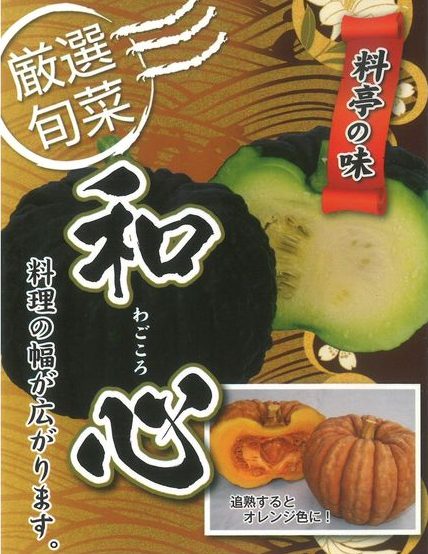 カボチャ 野菜の種専門通販 アサヒのぐるタネ