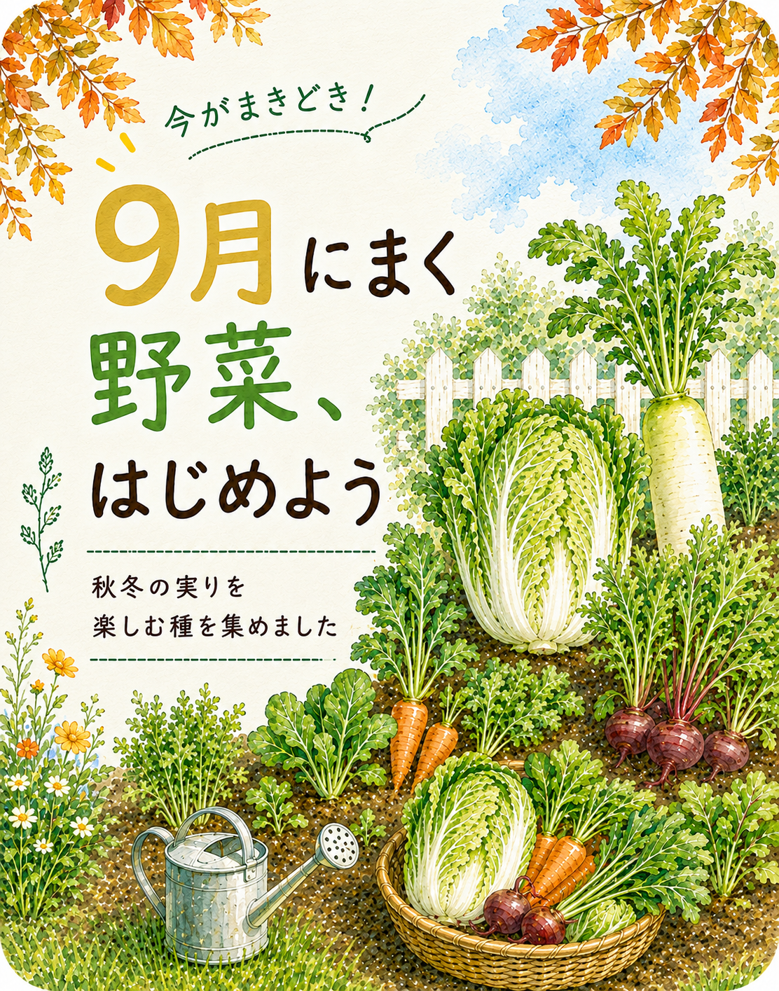 9月にまく野菜の種の写真