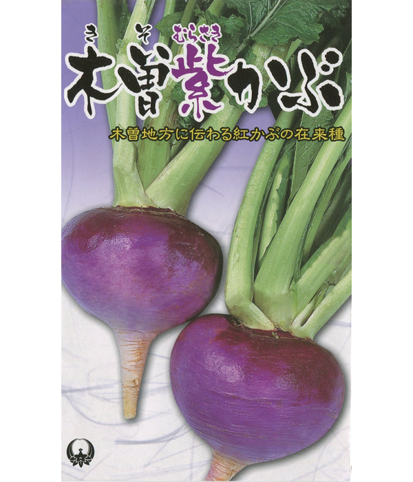 【長野の伝統野菜】木曽紫蕪（きそむらさきかぶ）の写真