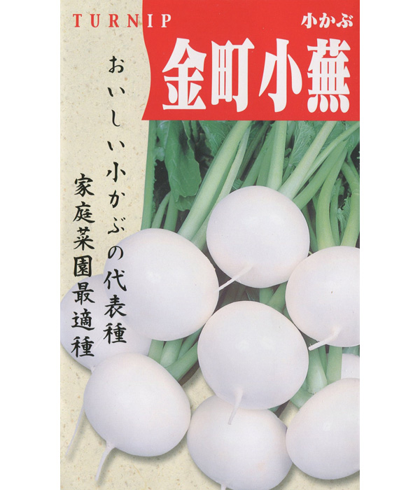 【江戸の伝統野菜】金町小蕪（かなまちこかぶ）の写真