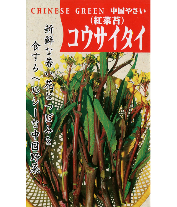 紅菜苔（コウサイタイ）の写真