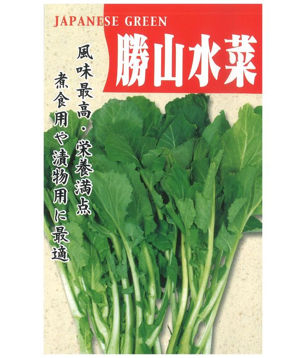 勝山水菜の写真