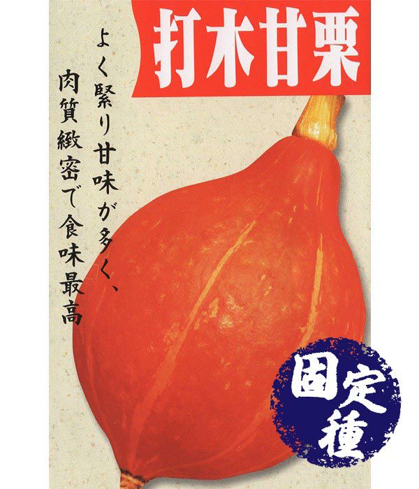 加賀野菜　打木赤皮甘栗南瓜（うつぎあかがわあまぐりかぼちゃ）の写真