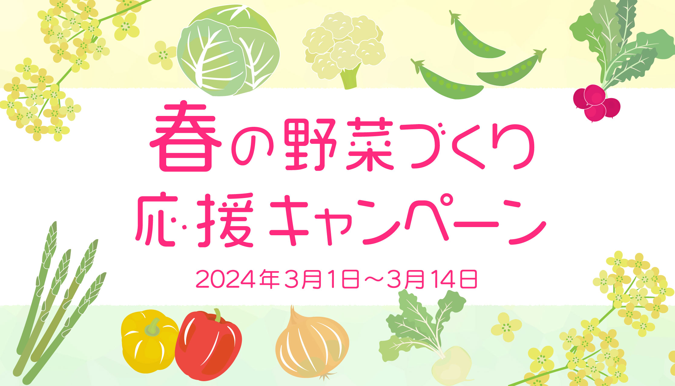 春の野菜づくり応援キャンペーン開催！の写真