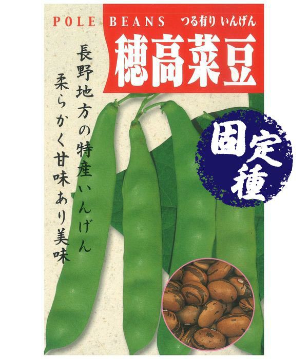 穂高菜豆（ほたかいんげん）の写真