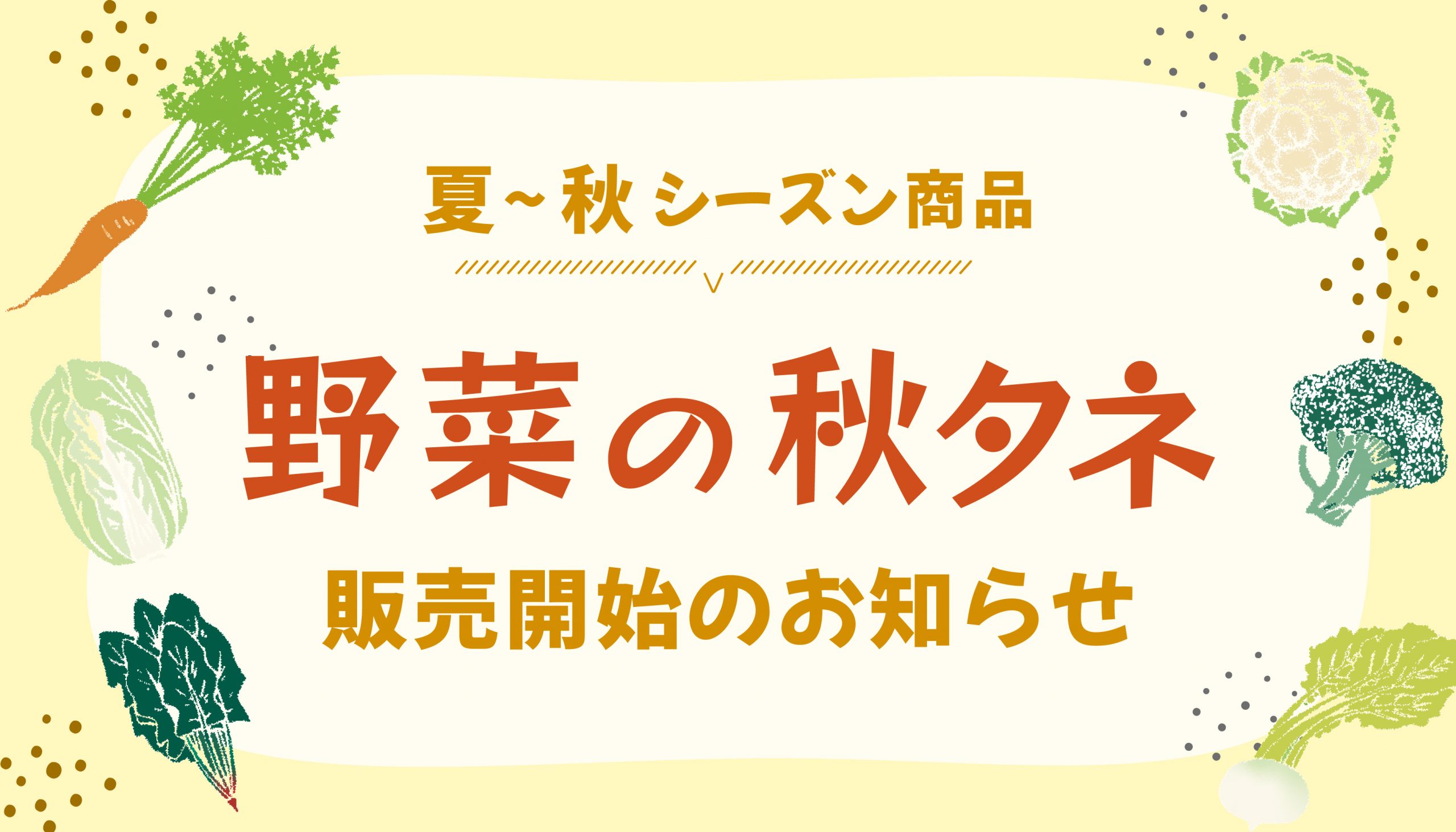 夏～秋向け種子「秋タネ」の販売を開始いたしました！の写真
