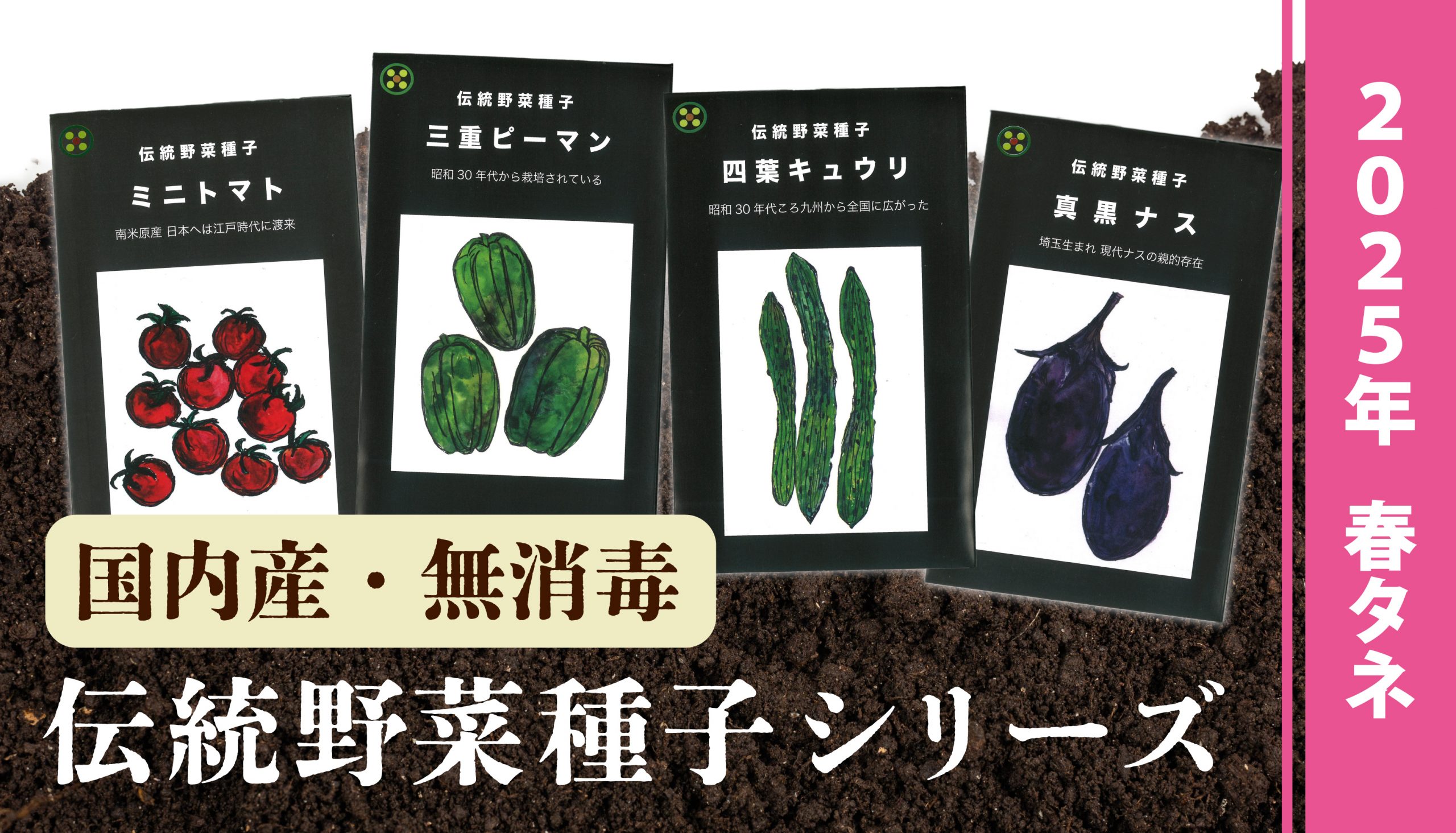 国内産・無消毒】伝統野菜種子シリーズ 25年春タネ販売開始のお知らせ 