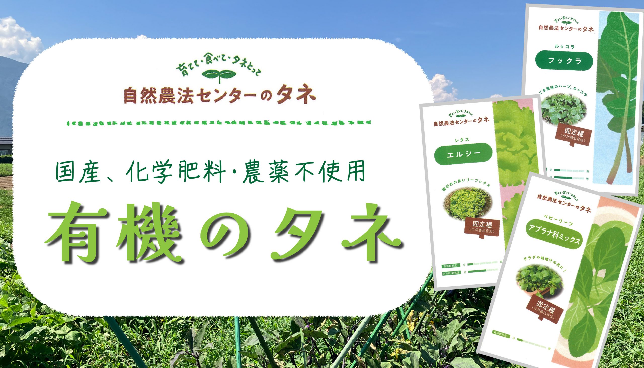 【国内採種・農薬不使用 】自然農法センターの「有機のタネ」販売開始のお知らせの写真