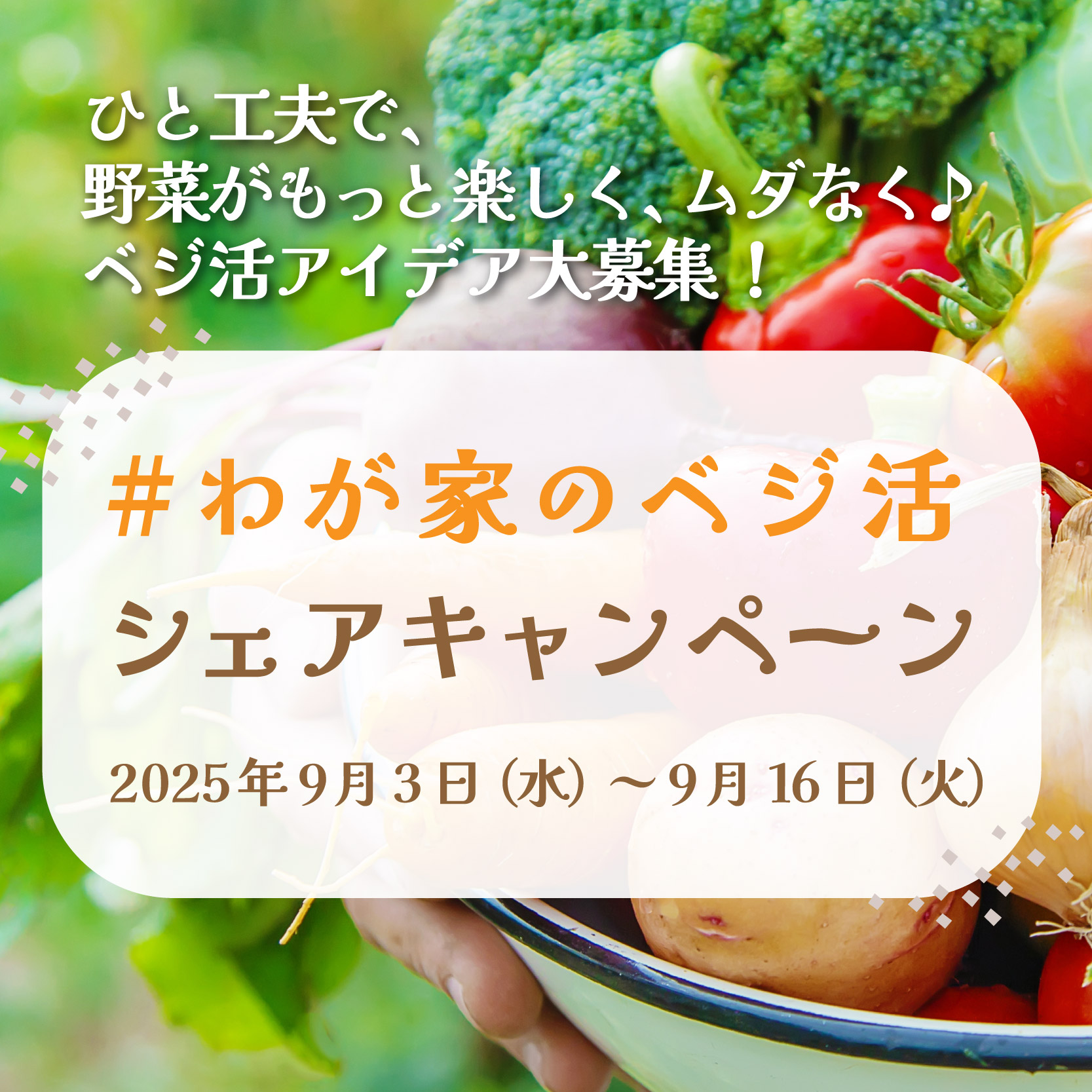 「#わが家のベジ活 」シェアキャンペーン開催中です！ ～野菜遺産プロジェクト～の写真