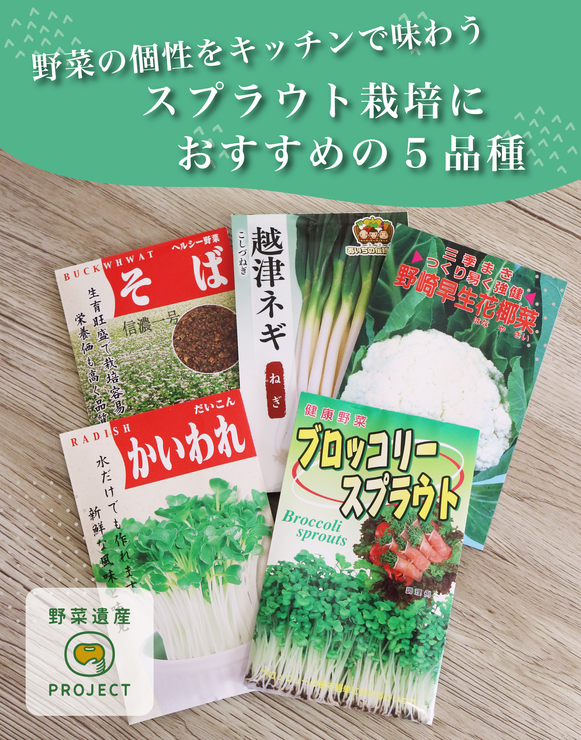 野菜の個性をキッチンで味わう、スプラウト栽培におすすめの5品種 【野菜遺産プロジェクト】の写真