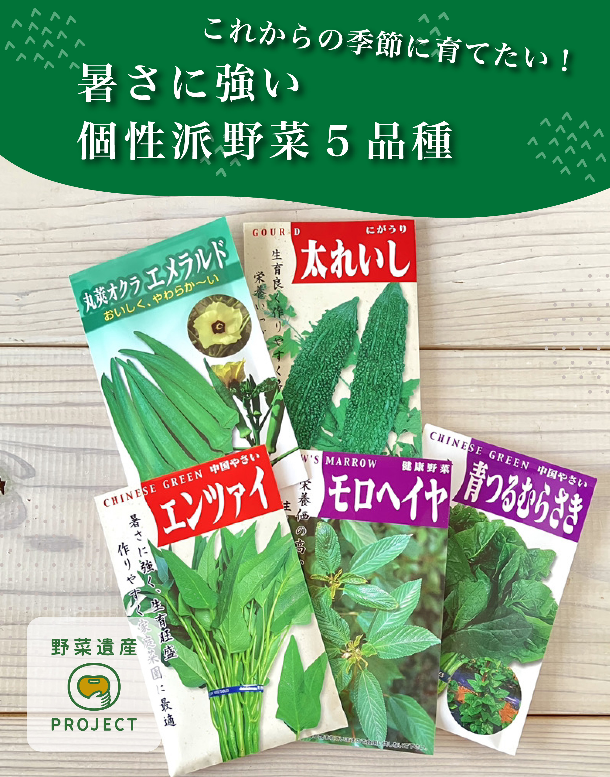 これからの季節に育てたい、暑さに強い個性派野菜5品種【野菜遺産プロジェクト】の写真